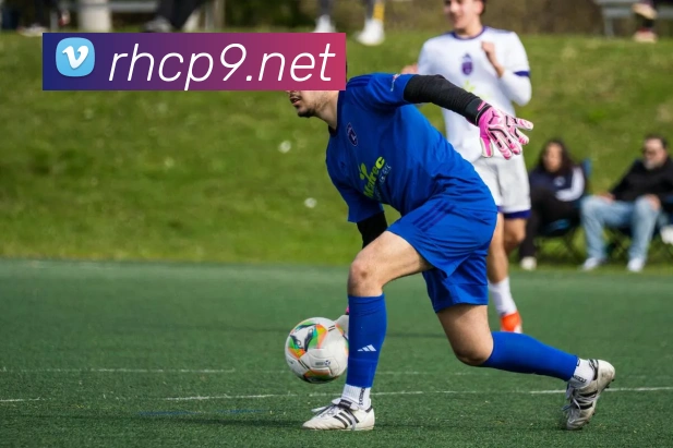 赛事专题整合